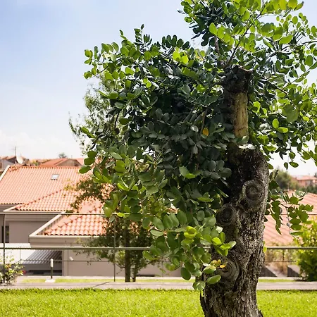 Etna Dream Bed & Breakfast 3*